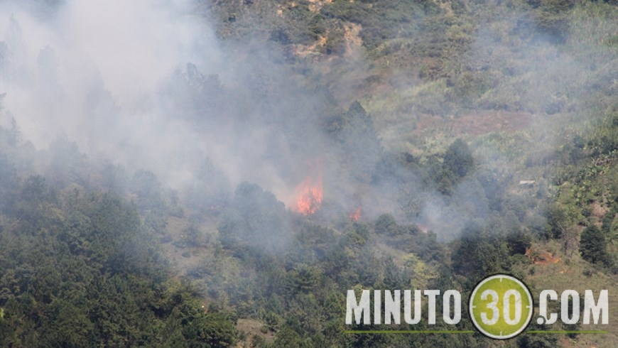 REACTIVARON LLAMAS (4)