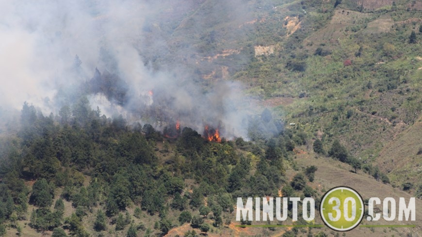 REACTIVARON LLAMAS (6)