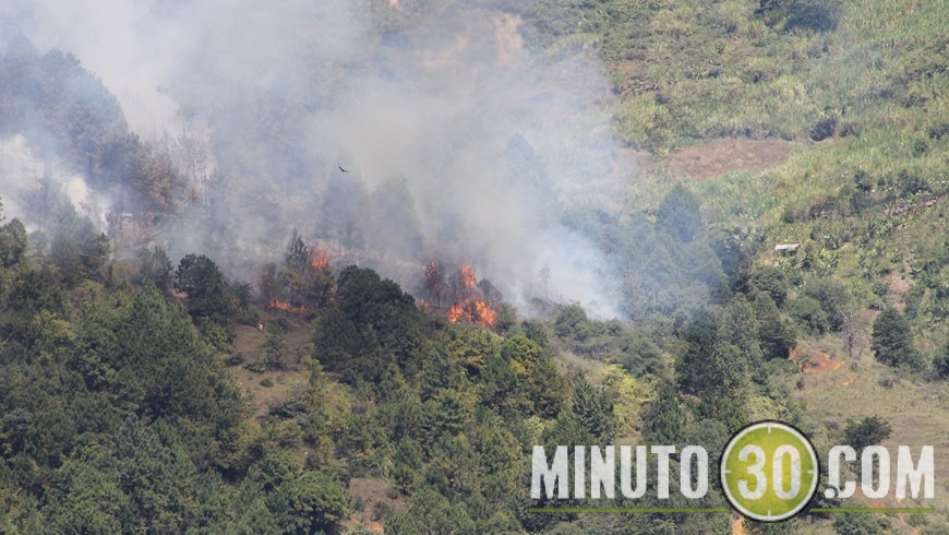 REACTIVARON LLAMAS (7)