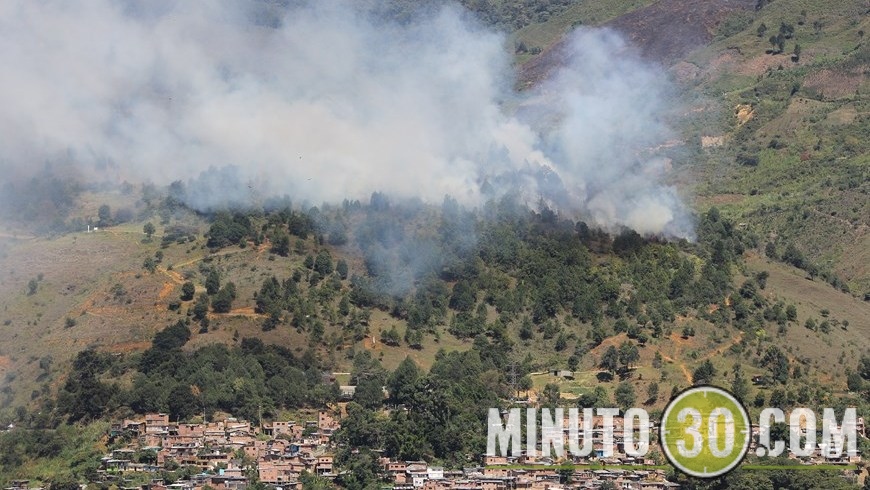 REACTIVARON LLAMAS (8)