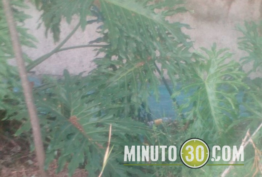 color verde quebrada de alfonso lopez (7)(1)