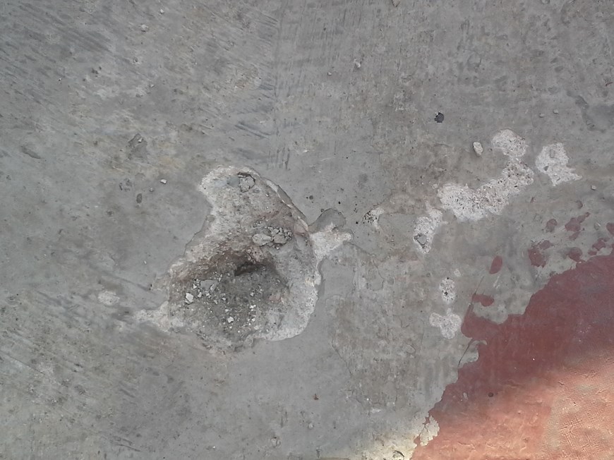 denuncia ciudadana 2