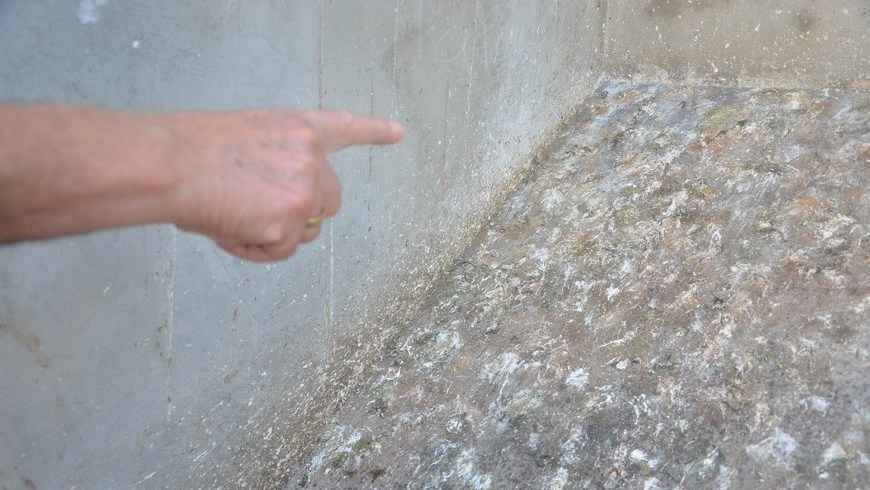 Foto: Cortesía Guillermo Naranjo