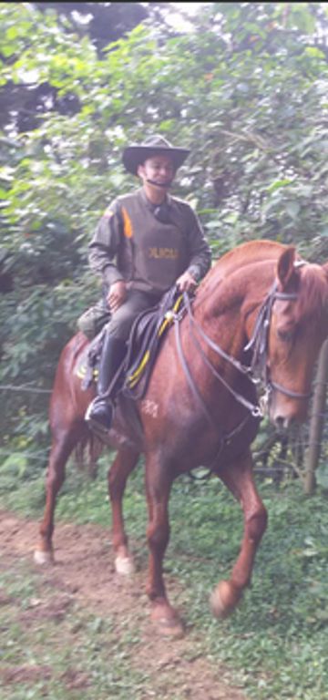 Foto: Alcaldía de Medellín