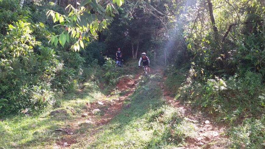 Foto: Alcaldía de Medellín