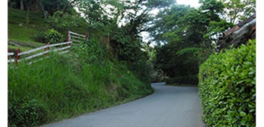 Autoridades departamentales están ejecutando obras para mejorar las vías de Concepción