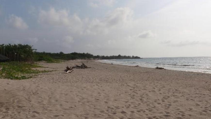 Isla de Tierra Bomba. Archivo