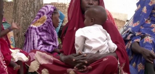 Clientes de Iberia han donado 200.000 euros a favor de UNICEF