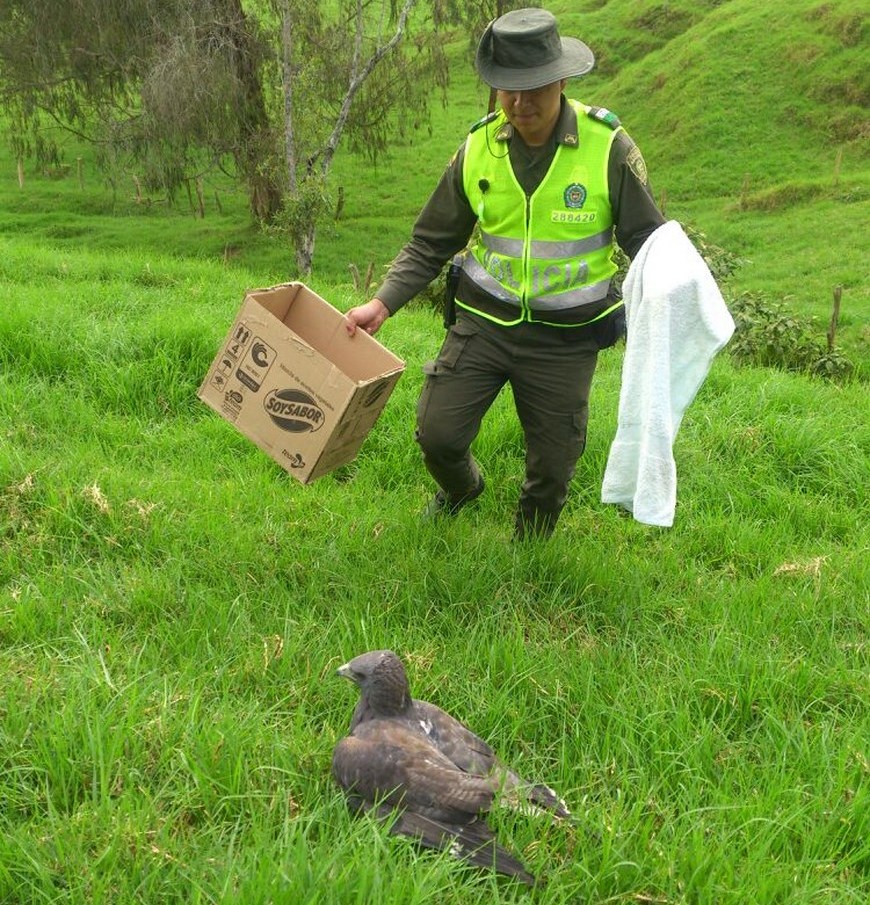 Foto: Policía Antioquia