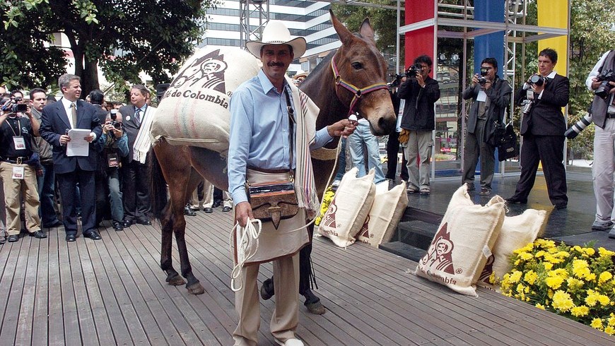 El café de Colombia es el más reconocido entre los estadounidenses 4 JUAN VALDEZ