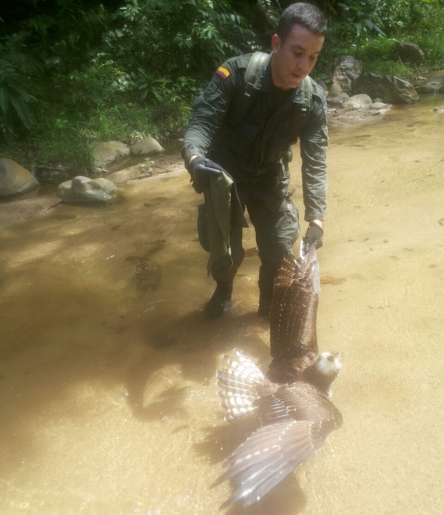 Foto: Policía Antioquia
