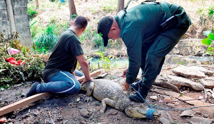Foto: Policía Antioquia