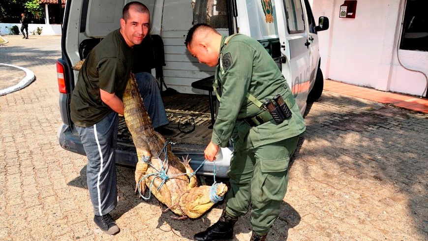 Foto: Policía Antioquia