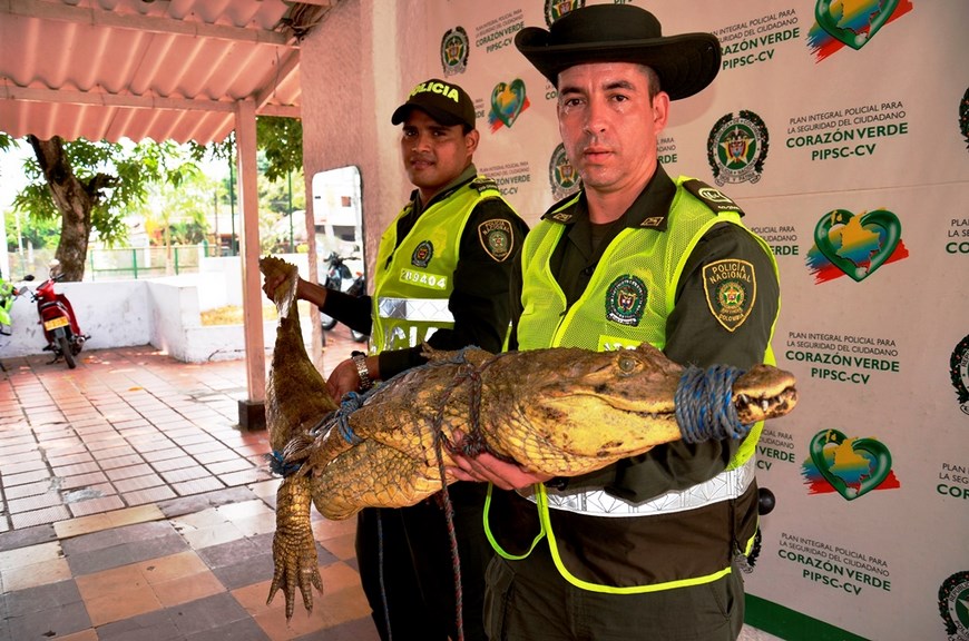 Foto: Policía Antioquia