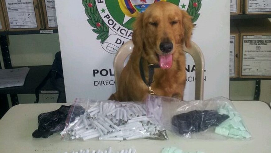 En el barrio La Mansión cayó un presunto 'jíbaro' del combo 'Morro Chispas' 1 CAPTURA ALIAS MELLO APP1
