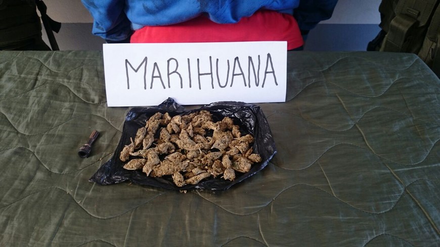 Con marihuana en su poder, autoridades capturaron a un hombre en Buriticá 3 Cortesía Policía Antioquia