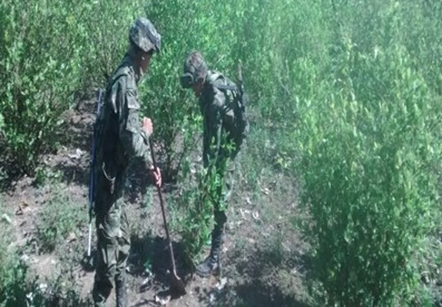 Foto: Fuerzas Militares