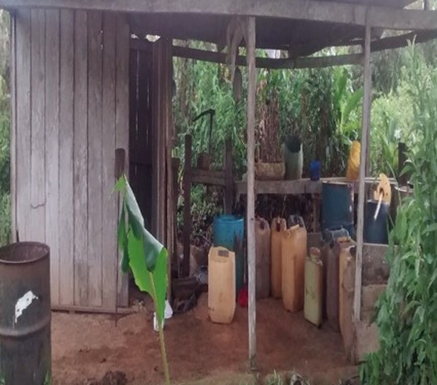 Foto: Fuerzas Militares