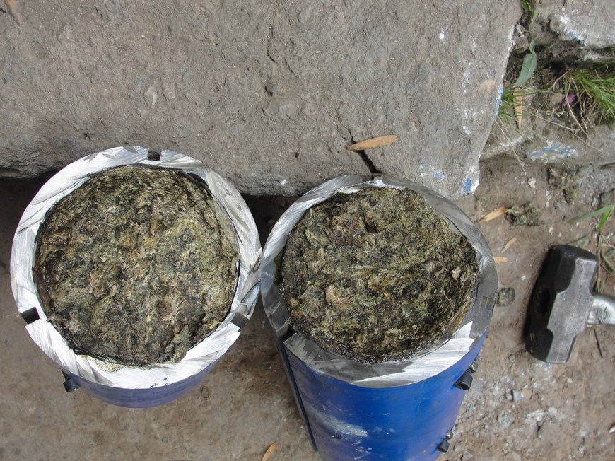 Fotos: 'Beckham' descubrió marihuana que iba a ser enviada desde Rionegro a San Andrés 8 Cortesía Policía Antioquia