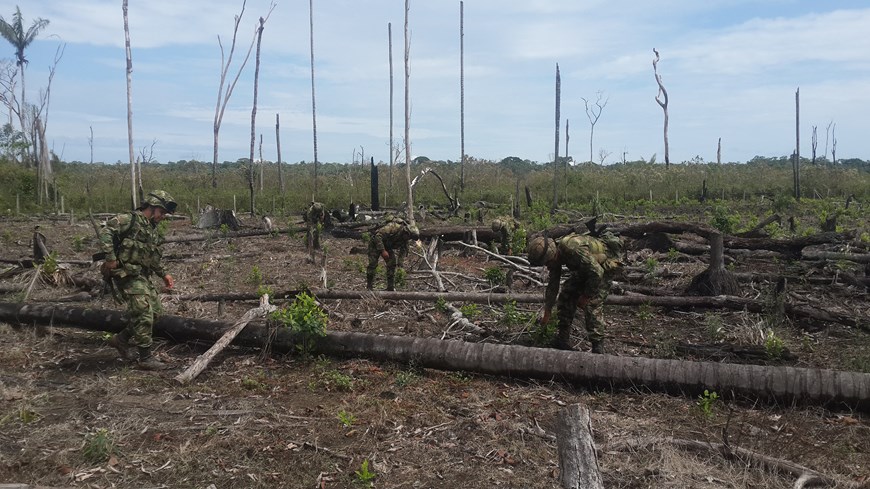 Foto: Fuerzas Militares