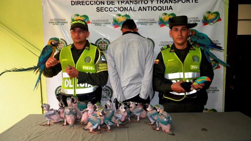 Foto: Policía Antioquia