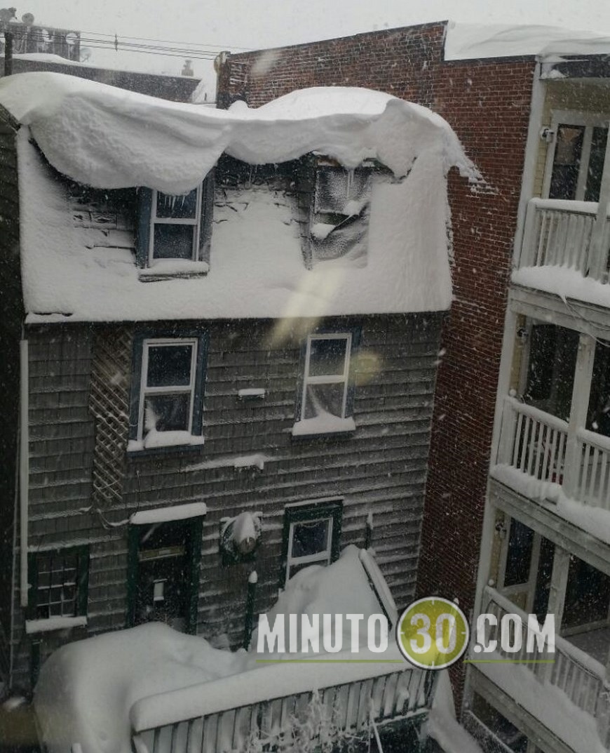 nieve boston,