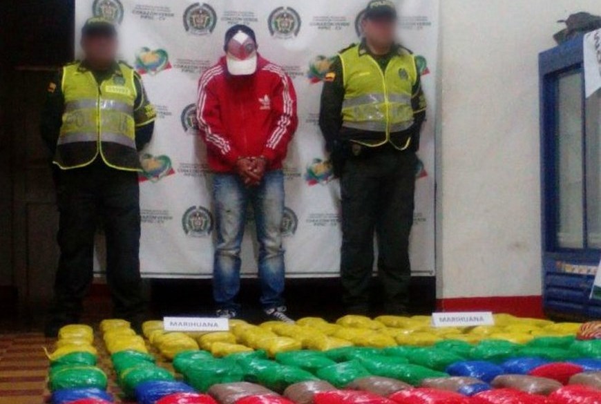 En Ciudad Bolívar decomisaron 65 kilos de marihuana 2 Foto: Policía Antioquia