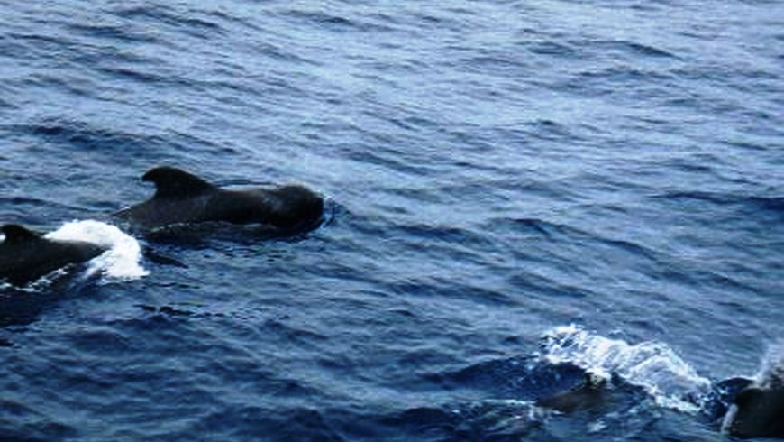 Foto tomada de archivo.