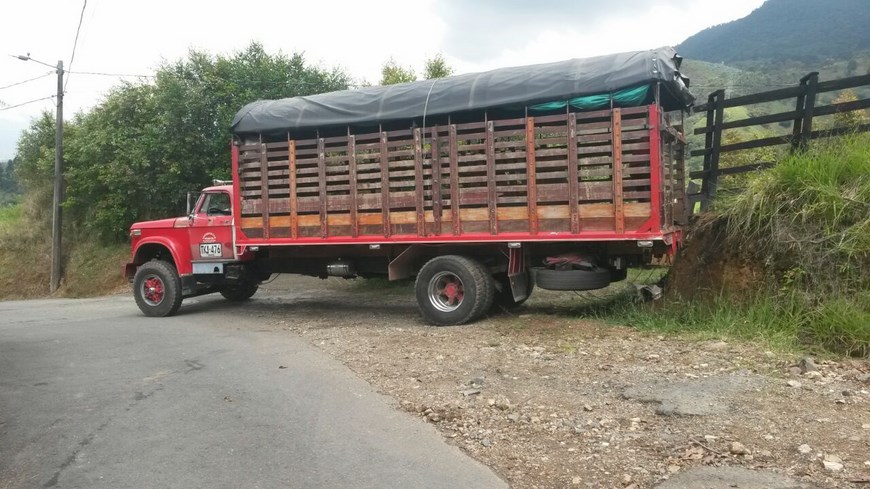 Fotos: Autoridades incautan ganado en vereda de Envigado 5 Cortesía