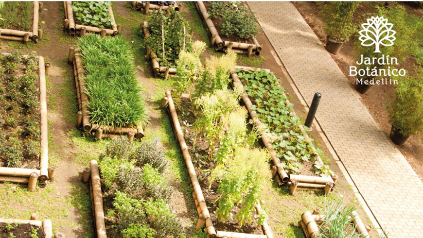 jardin botanico