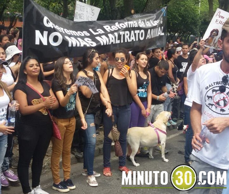 marcha animales (10)(1)