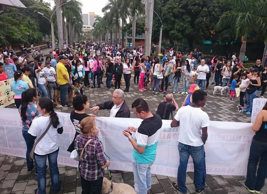 Foto: Cortesía ORCA