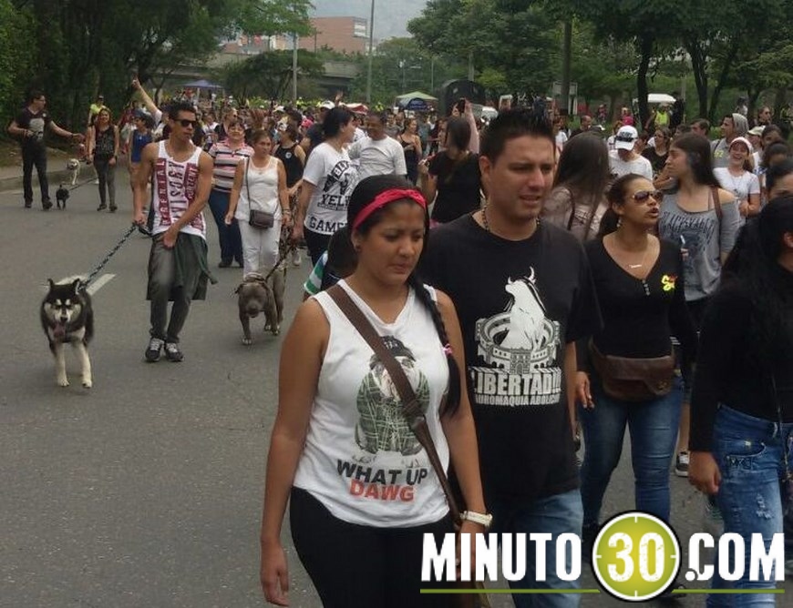 marcha animales (3)(1)
