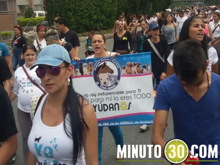 marcha animales (4)(1)