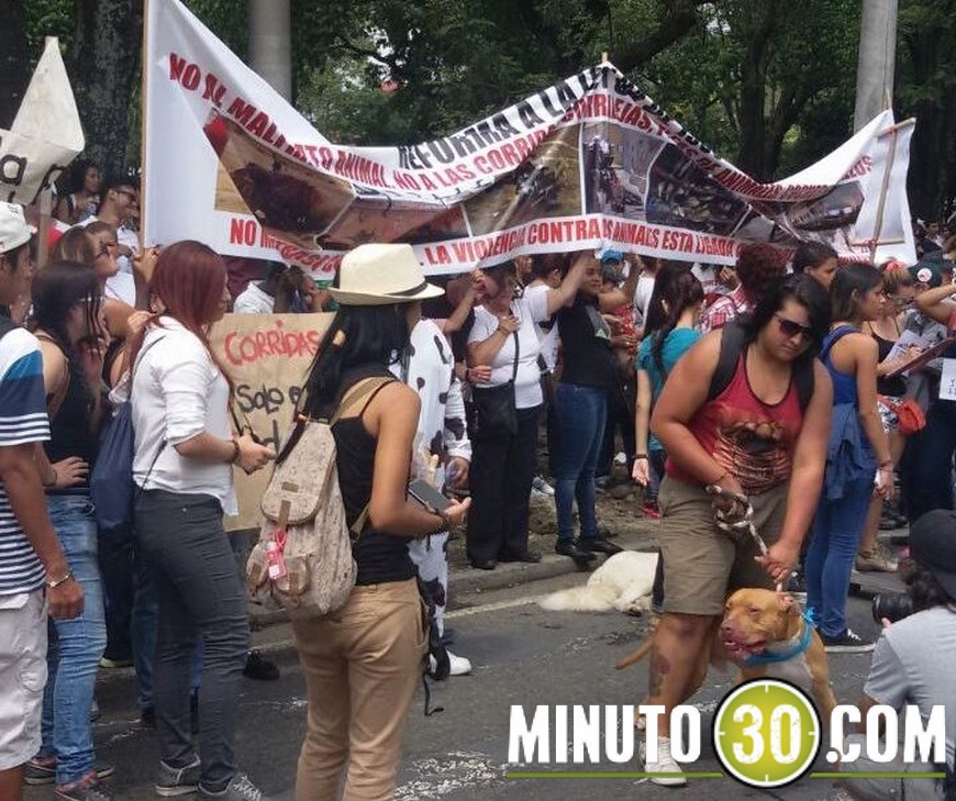 marcha animales (5)(1)