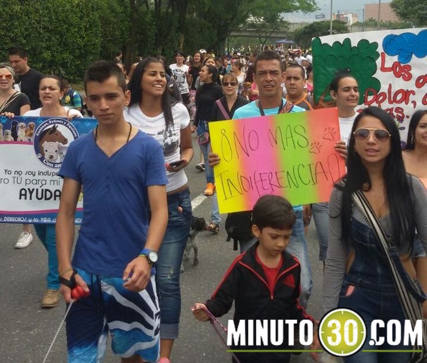 marcha animales (6)(1)