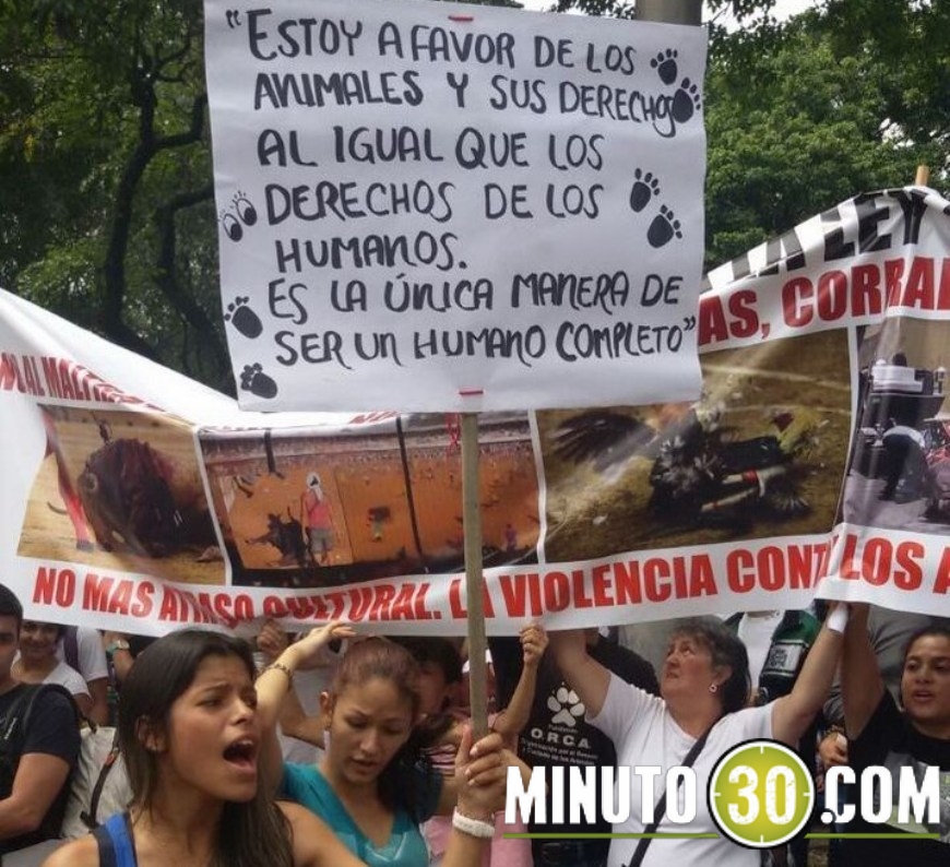 marcha animales (8)(1)