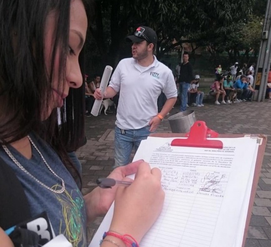 Foto: Cortesía ORCA