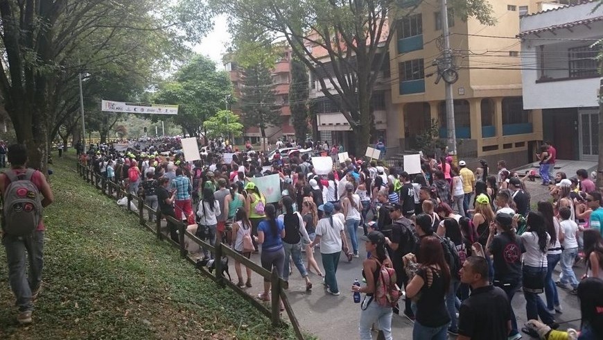 Foto: Cortesía ORCA