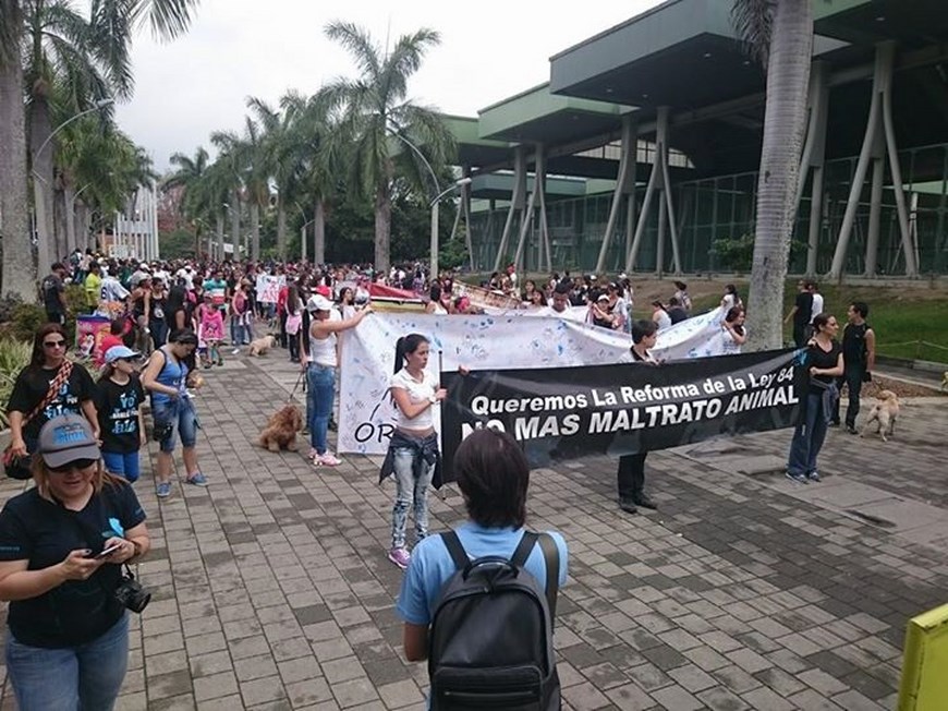 Foto: Cortesía ORCA