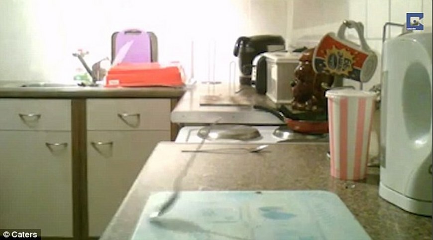 Captura de pantalla de una cuchara supuestamente levitando.