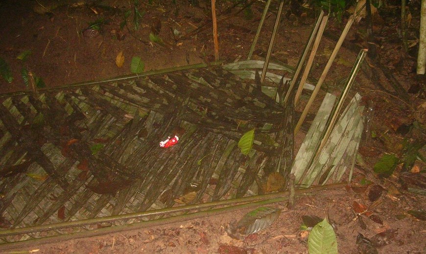 Foto: Fuerzas Militares