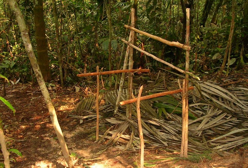 Foto: Fuerzas Militares