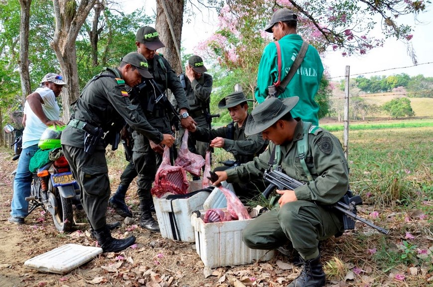 Foto: Policía Antioquia