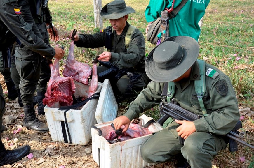 Foto: Policía Antioquia