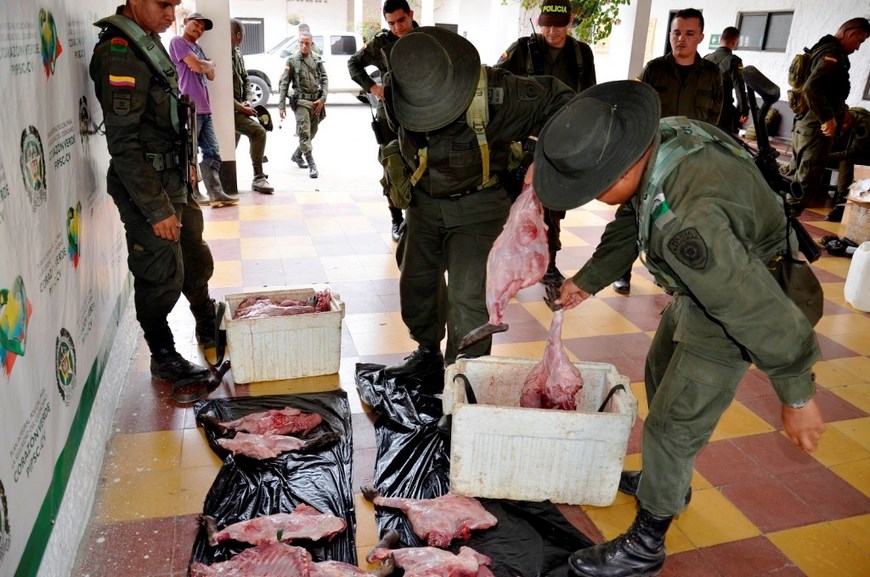Foto: Policía Antioquia