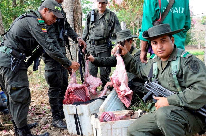 Foto: Policía Antioquia