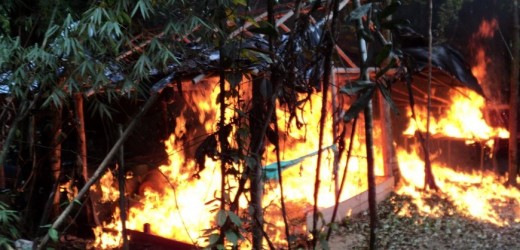 LABORATORIOS DE LAS FARC Y EL ELN 1