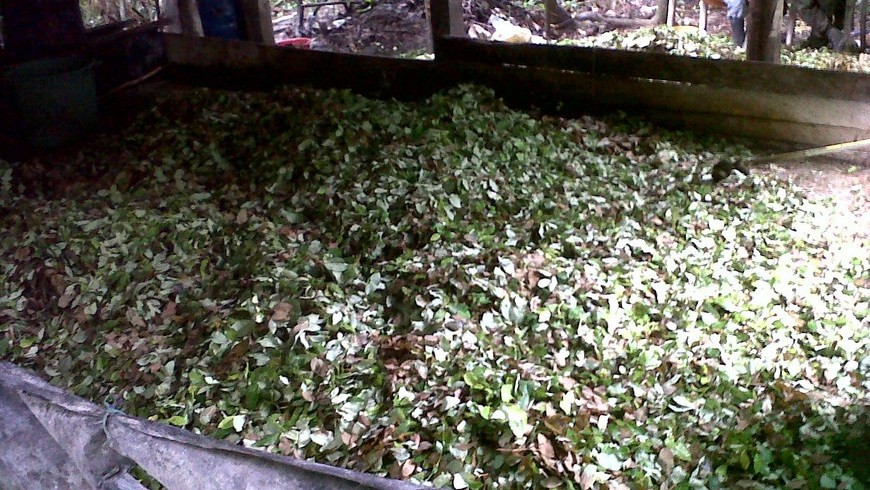 Nueve laboratorios de las Farc y el Eln destruyó el Ejército en Antioquia 5 Foto: Fuerza de Tarea Nudo de Paramillo.
