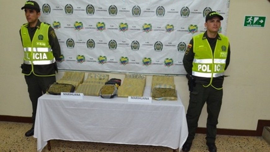 A Montería iban a mandar 26 kilos de marihuana que fue incautada en Medellín 1 MARIHUANA INCAUTADA POLFA 1